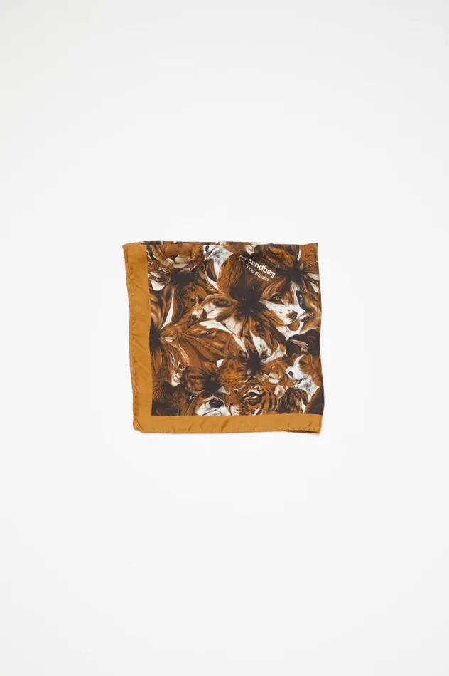 Acne Studios Print Silk Scarf Brown Men Scarves