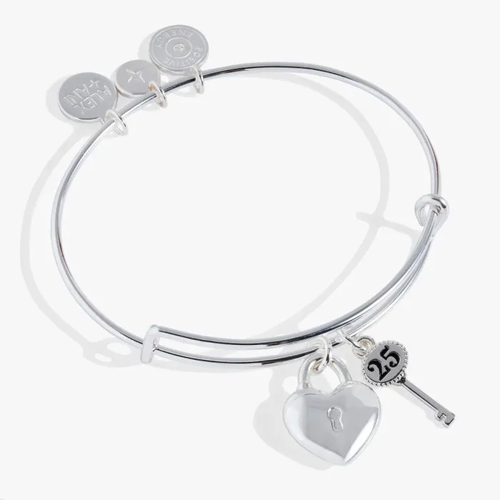 Bracelets Women Alex And Ani 25th Anniversary Bangle Silver