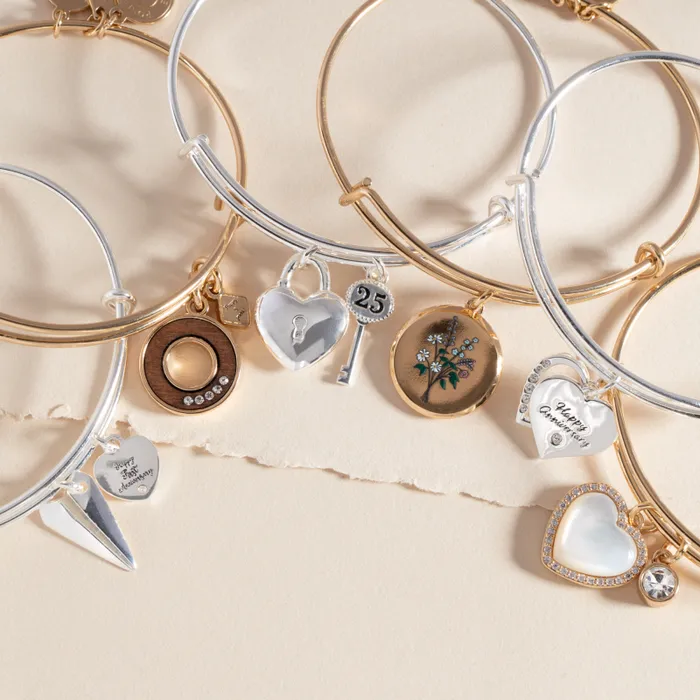 Bracelets Women Alex And Ani 25th Anniversary Bangle Silver
