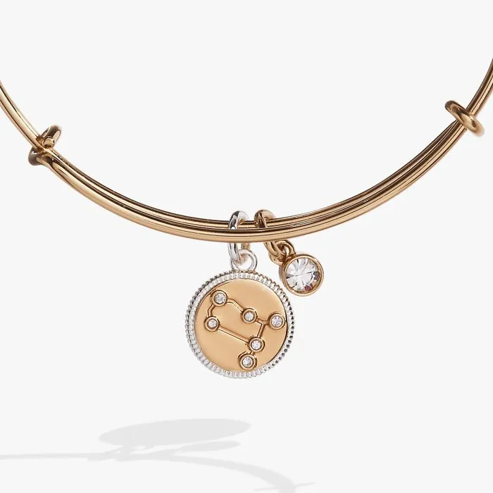 Bracelets Women Alex And Ani Gemini Zodiac Charm Bangle Two Tone
