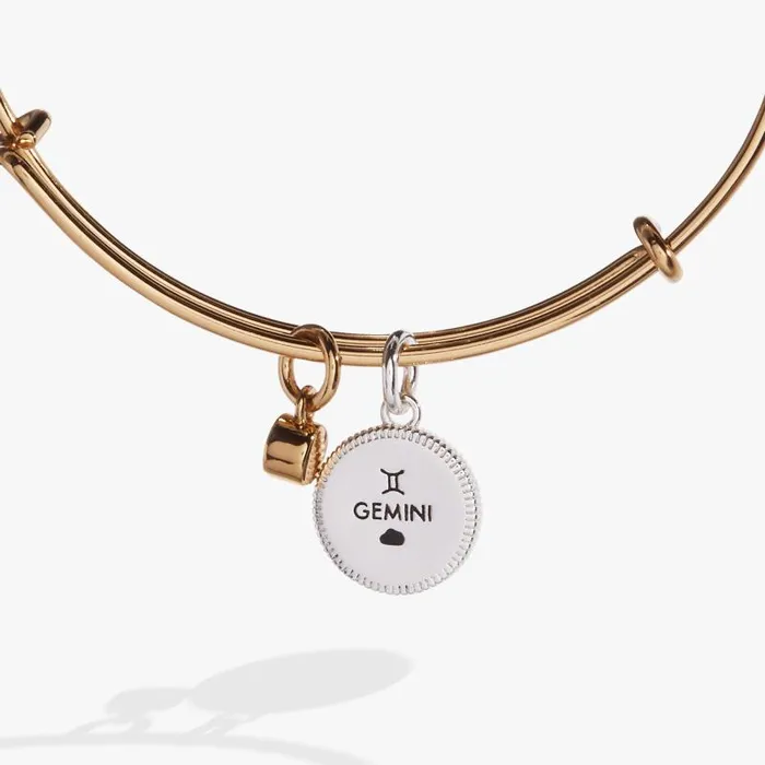 Bracelets Women Alex And Ani Gemini Zodiac Charm Bangle Two Tone