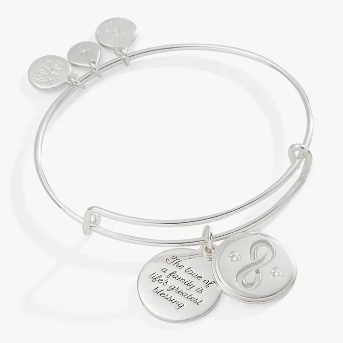 Bracelets Women Alex And Ani Hidden Message Infinity Affirmation Bangle Silver Bracelets Women Alex And Ani Hidden Message Infinity Affirmation Bangle Silver
