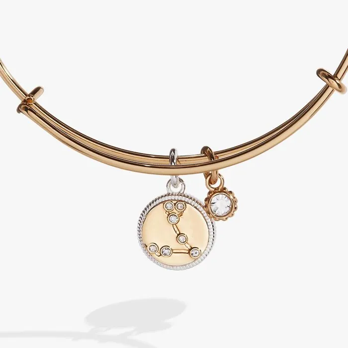 Bracelets Women Alex And Ani Pisces Zodiac Charm Bangle Two Tone