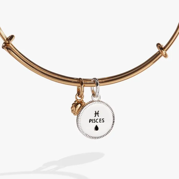 Bracelets Women Alex And Ani Pisces Zodiac Charm Bangle Two Tone