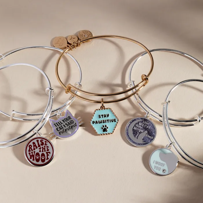 Bracelets Women Alex And Ani Raise The Woof Dog Bangle Silver