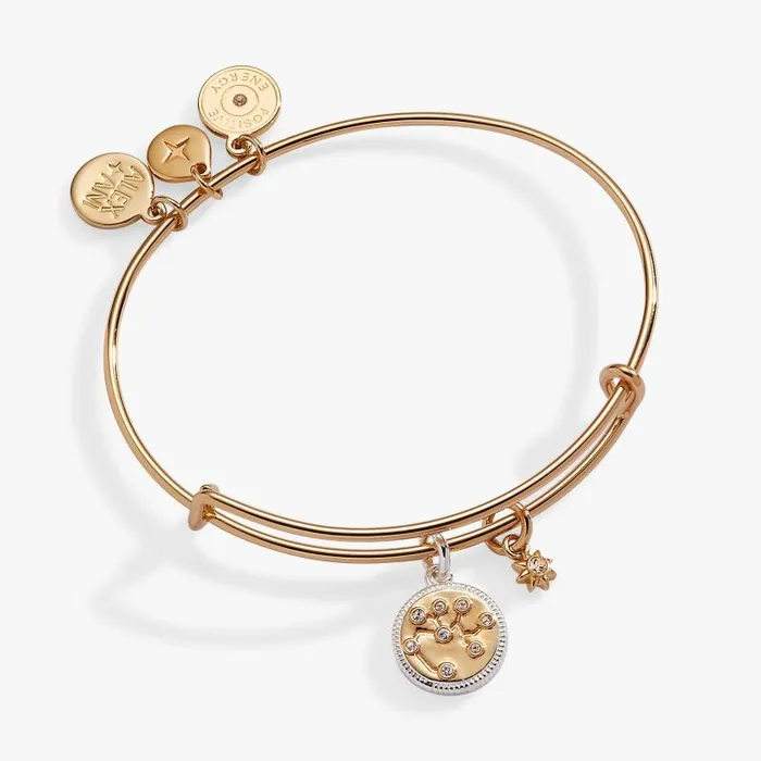 Bracelets Women Alex And Ani Sagittarius Zodiac Charm Bangle Two Tone