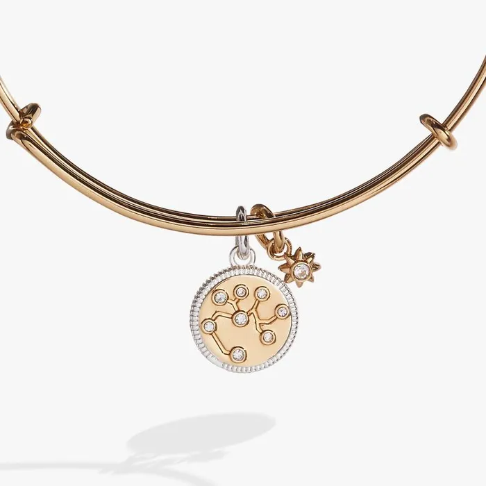 Bracelets Women Alex And Ani Sagittarius Zodiac Charm Bangle Two Tone