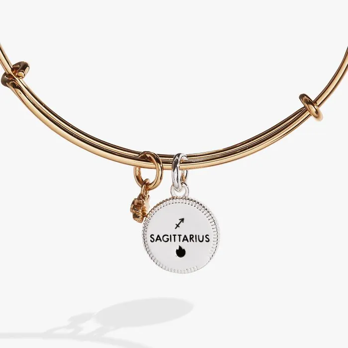 Bracelets Women Alex And Ani Sagittarius Zodiac Charm Bangle Two Tone