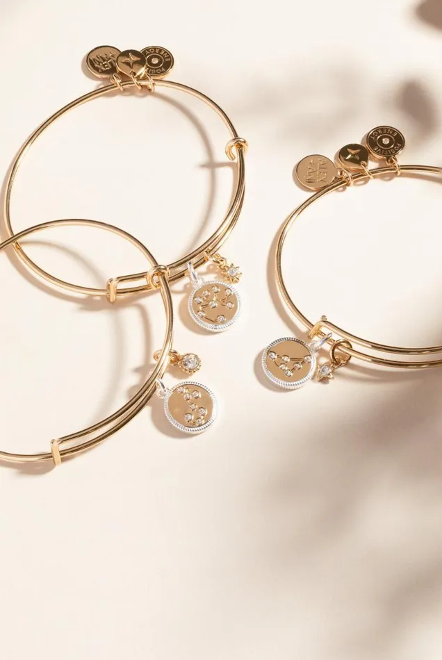 Bracelets Women Alex And Ani Sagittarius Zodiac Charm Bangle Two Tone