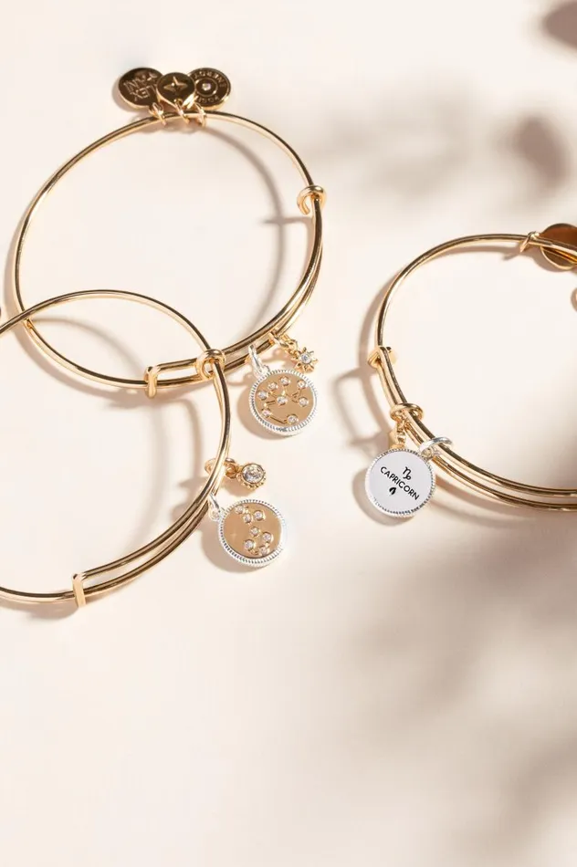 Bracelets Women Alex And Ani Sagittarius Zodiac Charm Bangle Two Tone