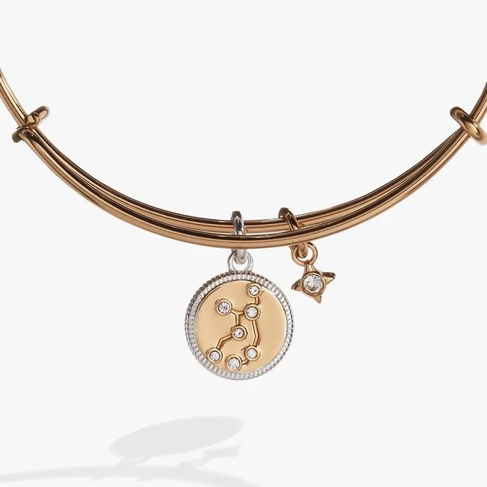 Bracelets Women Alex And Ani Virgo Zodiac Charm Bangle Two Tone