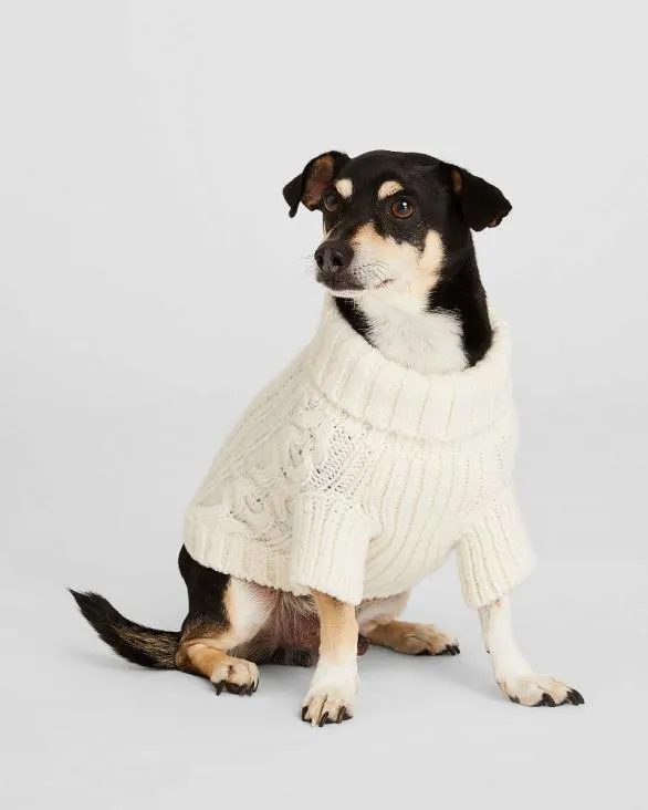 Club Monaco Sweaters Cable Knit Dog Sweater Ivory 8211 Women