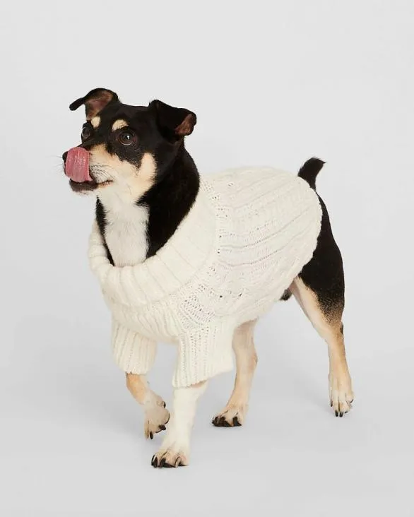Club Monaco Sweaters Cable Knit Dog Sweater Ivory 8211 Women