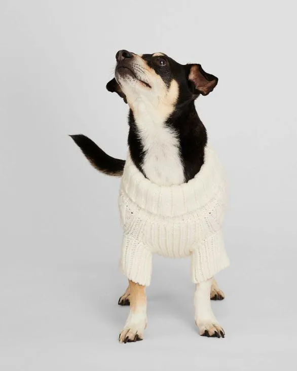 Club Monaco Sweaters Cable Knit Dog Sweater Ivory 8211 Women