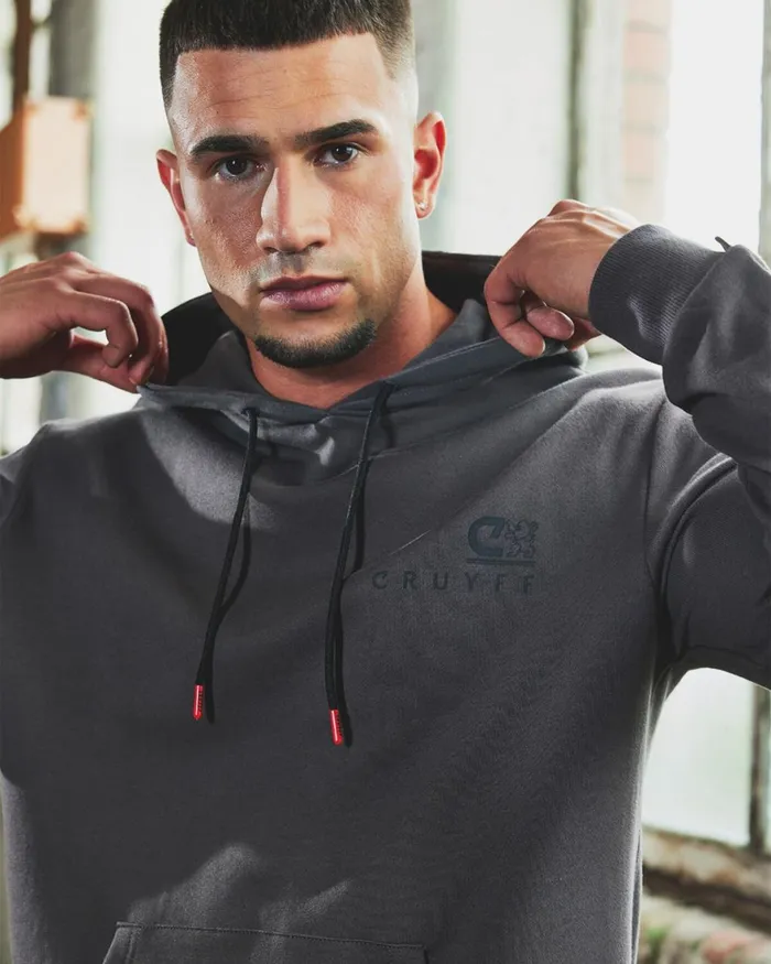 Cruyff A Pro Hoodie Light Grey Men Sweats and Hoodies Cruyff A Pro Hoodie Light Grey Men Sweats and Hoodies