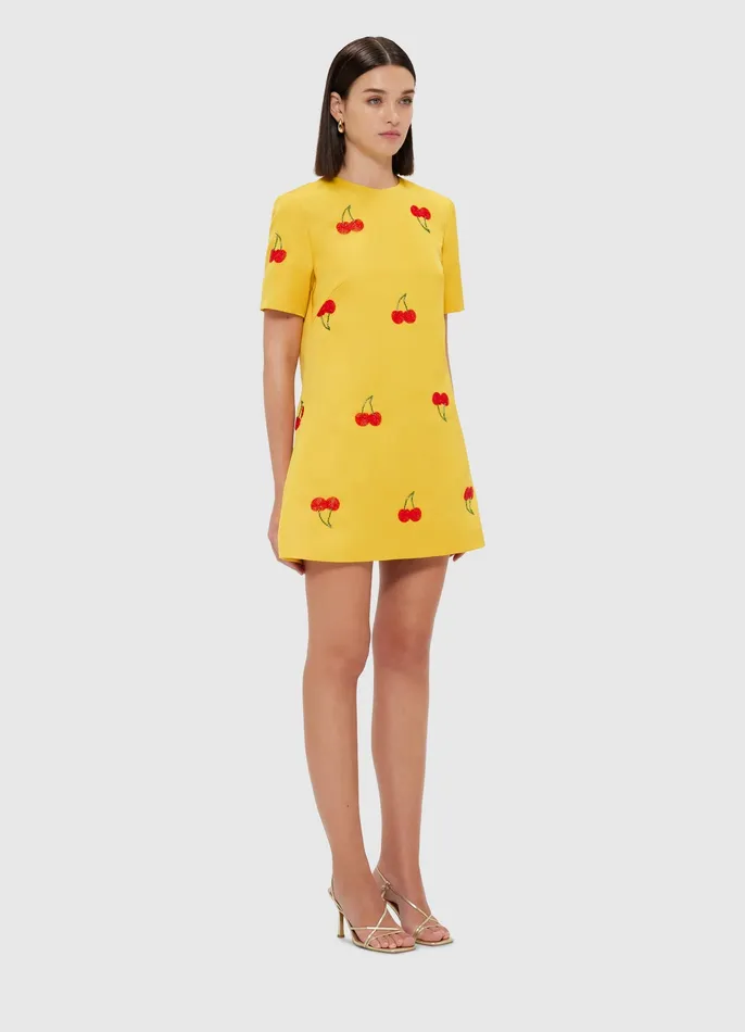 Dresses and Jumpsuits Alexa Embellished TShirt Mini Dress 8211 Cherry Beading 8211 LEO LIN Women
