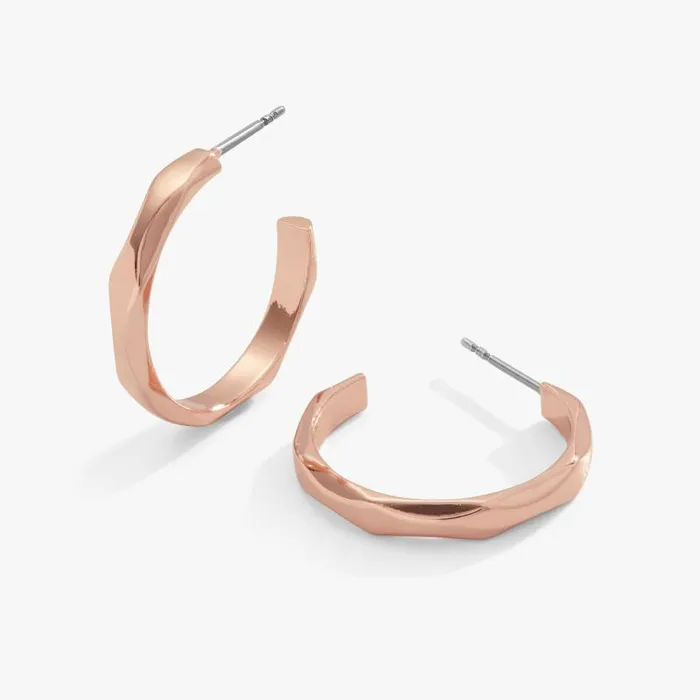 Earrings Women Alex And Ani Faceted Hoop Earrings Gold