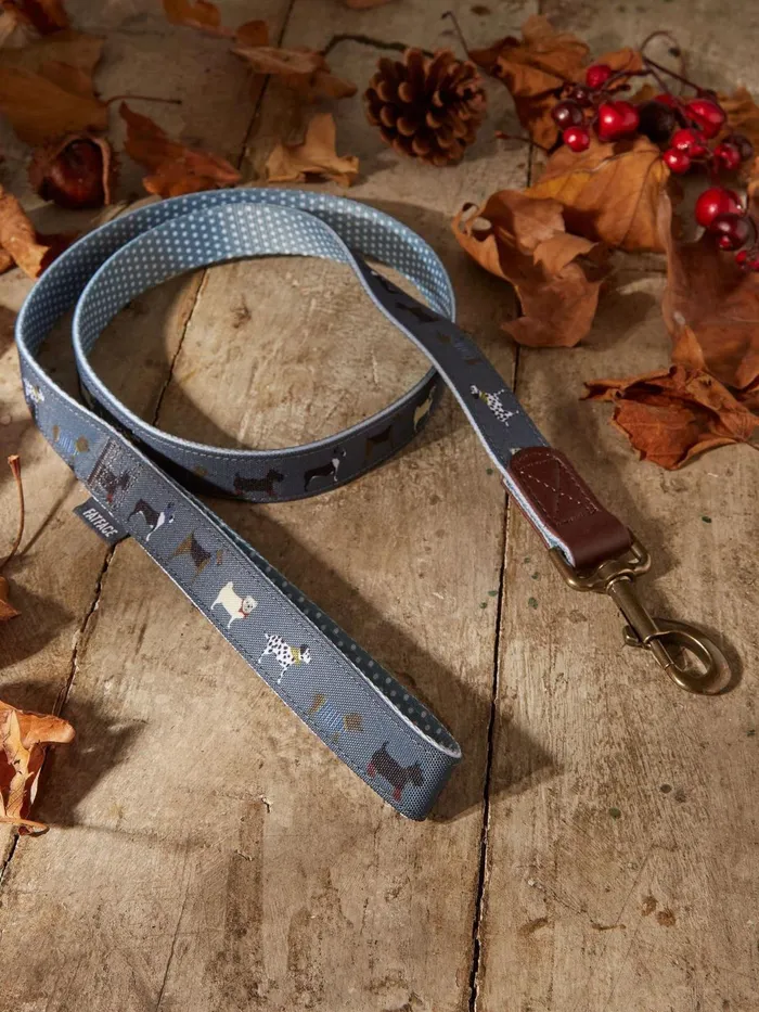 Fat Face Pet Accessories Grey Dogs Large Lead