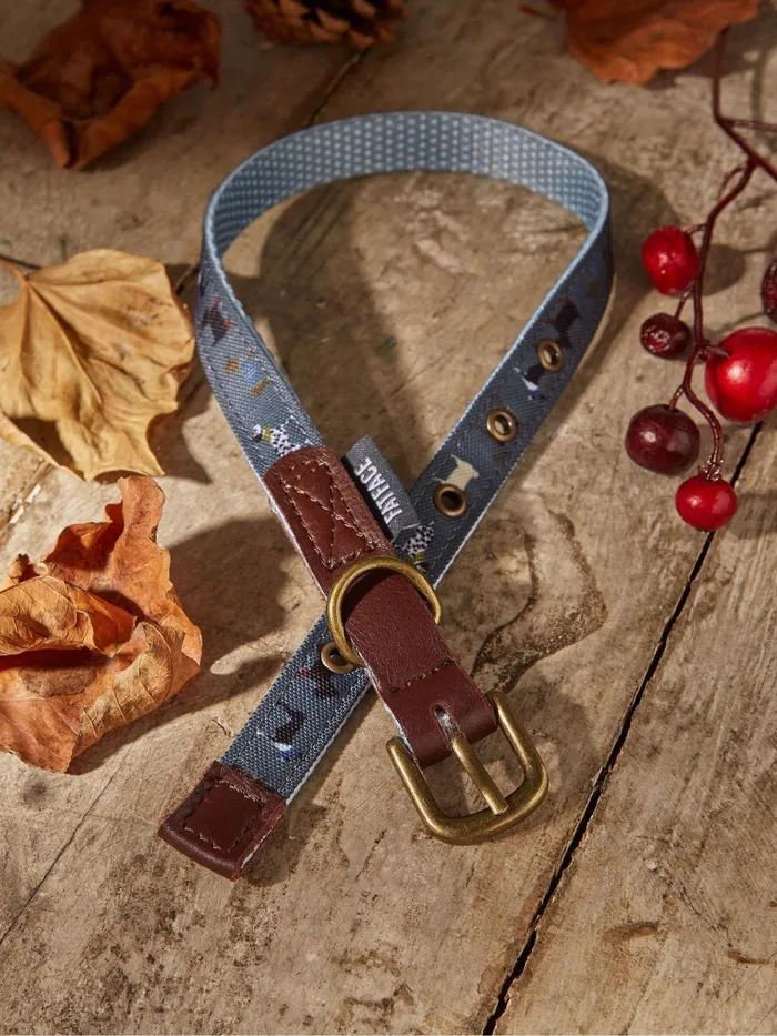 Fat Face Pet Accessories Grey Dogs Small Collar