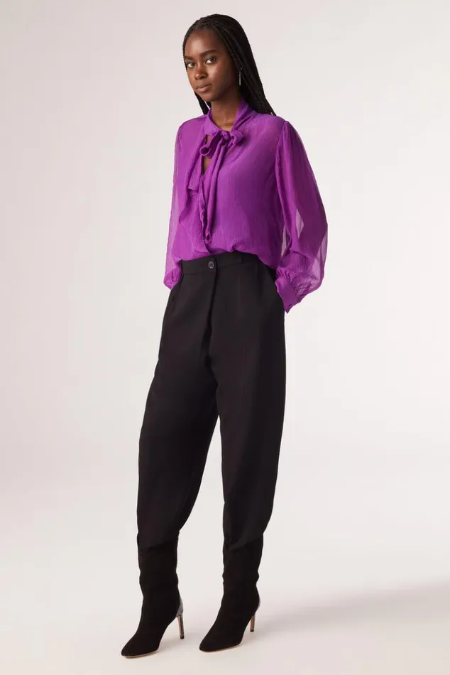 HariLongSleeve Blouse Clothing Baandsh Tops and Shirts