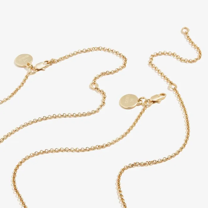 Jewelry Sets Women Alex And Ani Best Friends Charm Necklace Set Of 2 Silver