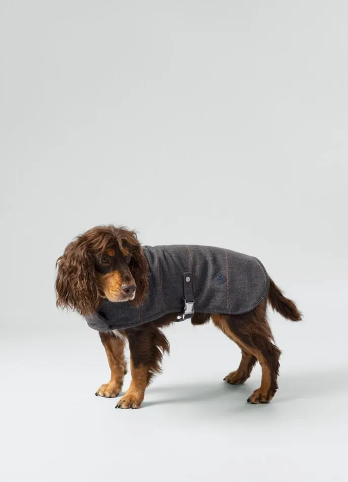 Men Hackett X Hugo and Hudson Hackett London Checked Jacket For Dogs 8211 Medium Grey Men Hackett X Hugo and Hudson Hackett London Checked Jacket For Dogs 8211 Medium Grey