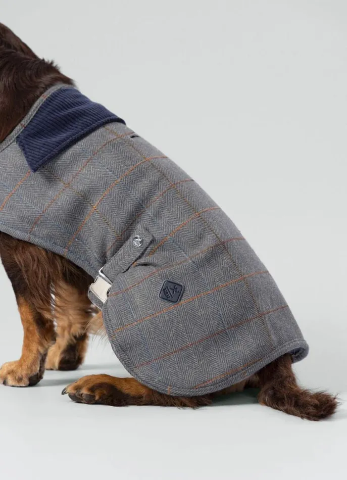 Men Hackett X Hugo and Hudson Hackett London Checked Jacket For Dogs 8211 Medium Grey