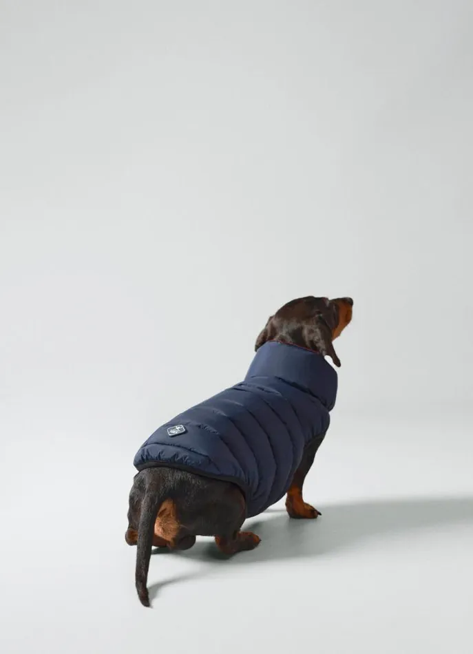 Men Hackett X Hugo and Hudson Hackett London Reversible Puffer Jacket For Dogs 8211 Small Winenavy