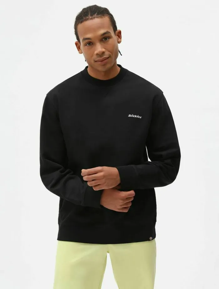 Men Jumpers and Sweatshirts Dickies Loretto Sweatshirt Black