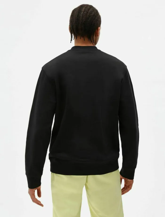 Men Jumpers and Sweatshirts Dickies Loretto Sweatshirt Black