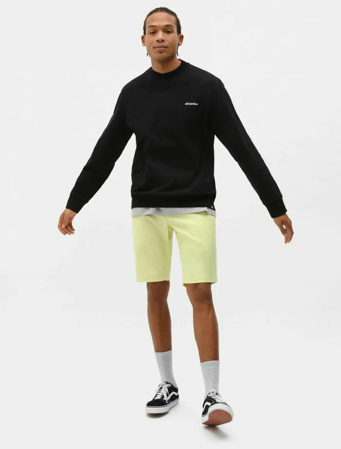 Men Jumpers and Sweatshirts Dickies Loretto Sweatshirt Black