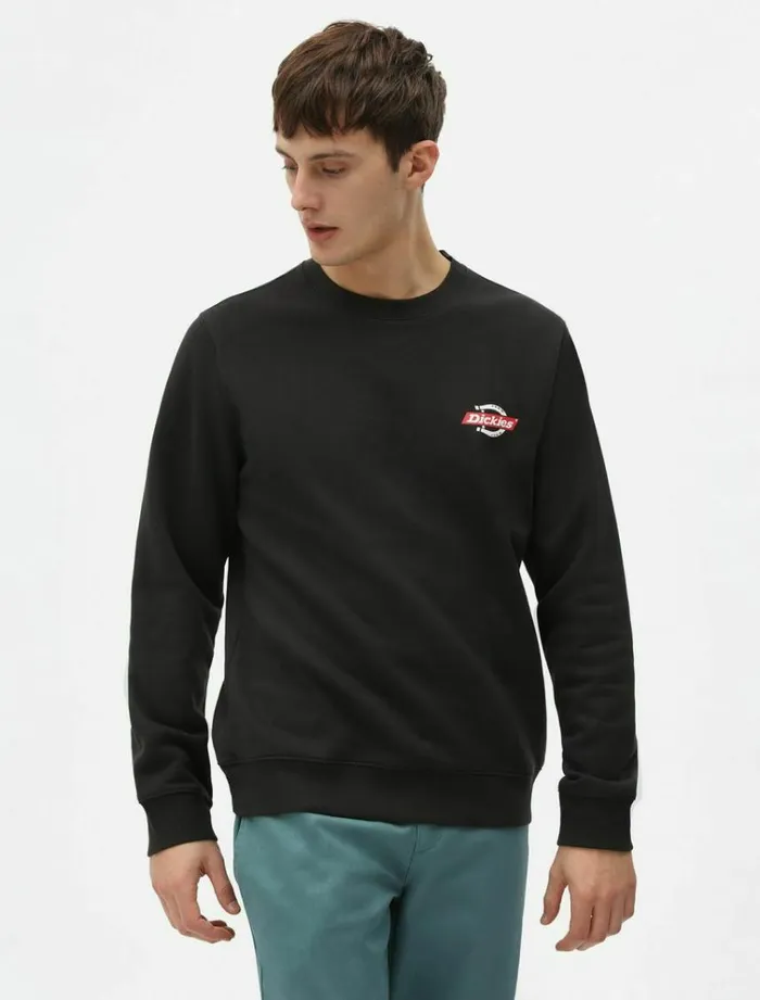 Men Jumpers and Sweatshirts Dickies Ruston Sweatshirt Black