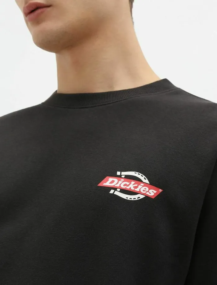 Men Jumpers and Sweatshirts Dickies Ruston Sweatshirt Black