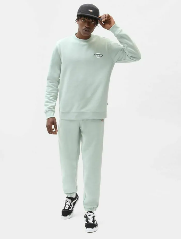 Men Jumpers and Sweatshirts Dickies Ruston Sweatshirt Jadeite