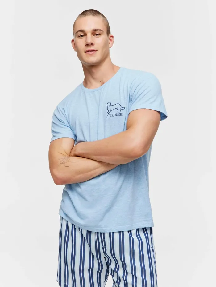 Men Penny Logo Tee Pale Blue Peter Alexander Tops