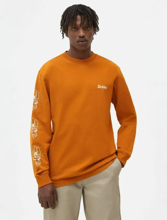 Men TShirts Dickies Bettles Long Sleeve TShirt Pumpk Spice