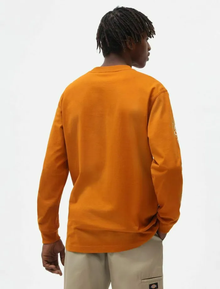 Men TShirts Dickies Bettles Long Sleeve TShirt Pumpk Spice
