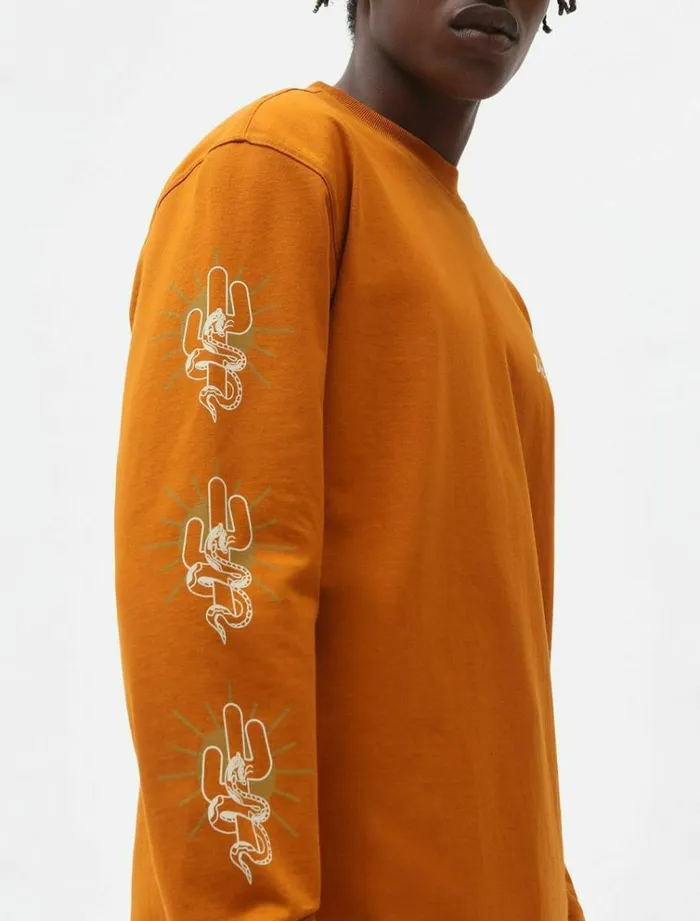 Men TShirts Dickies Bettles Long Sleeve TShirt Pumpk Spice