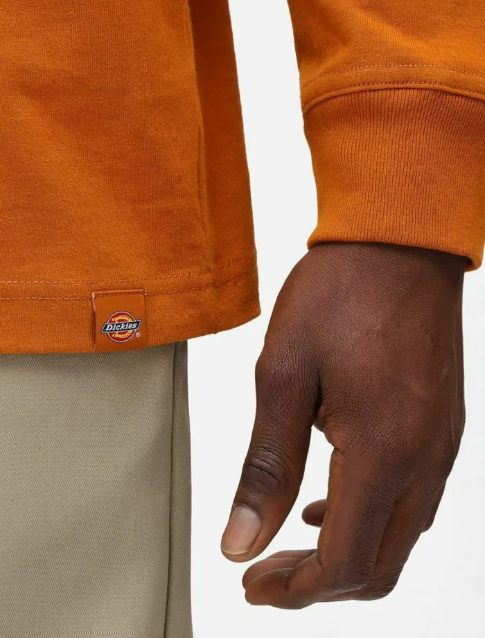 Men TShirts Dickies Bettles Long Sleeve TShirt Pumpk Spice