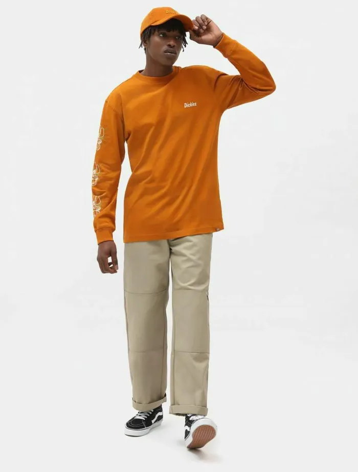 Men TShirts Dickies Bettles Long Sleeve TShirt Pumpk Spice