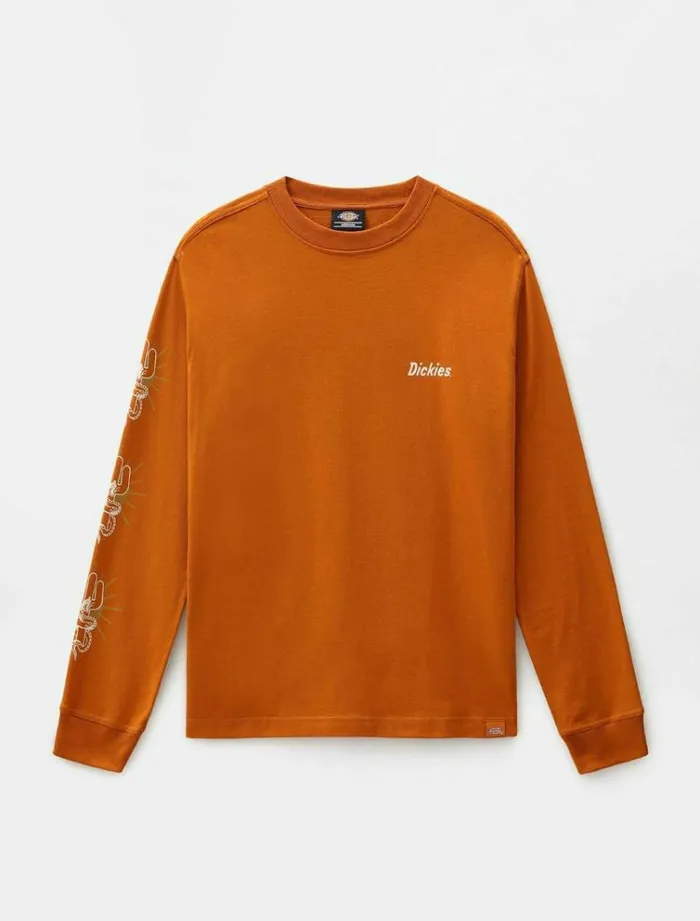 Men TShirts Dickies Bettles Long Sleeve TShirt Pumpk Spice