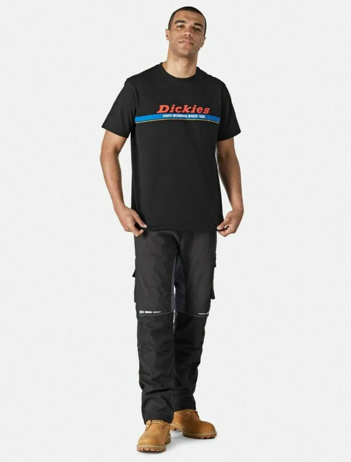 Men TShirts Dickies Newton TShirt Black