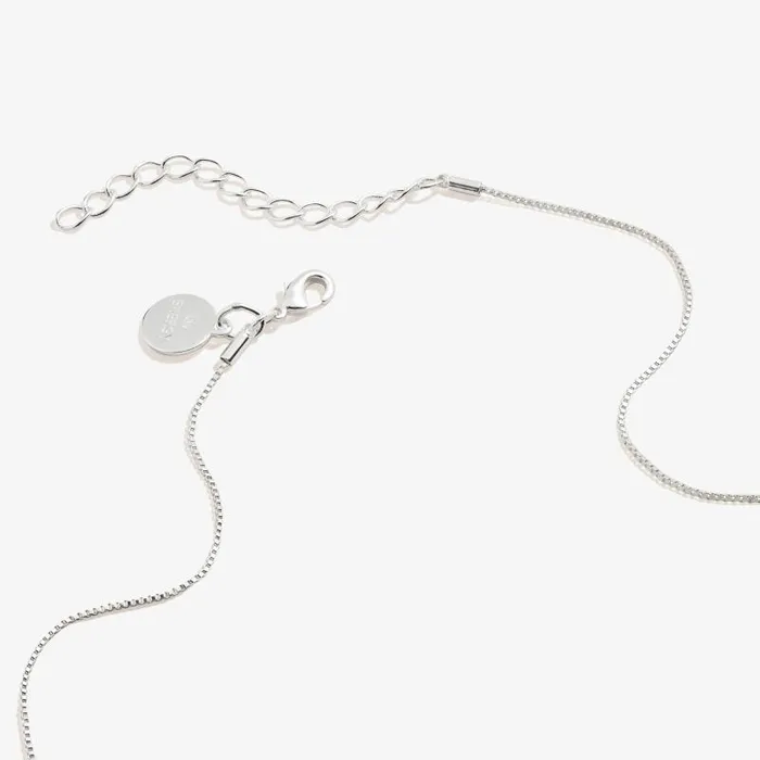 Necklaces Women Alex And Ani Amethyst Heart Necklace February Birthstone Silver