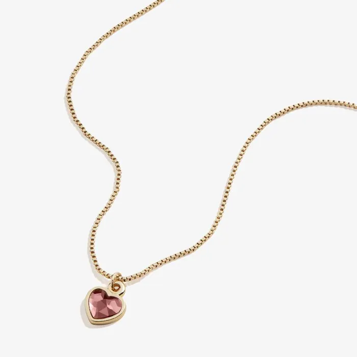 Necklaces Women Alex And Ani Amethyst Heart Necklace February Birthstone Silver