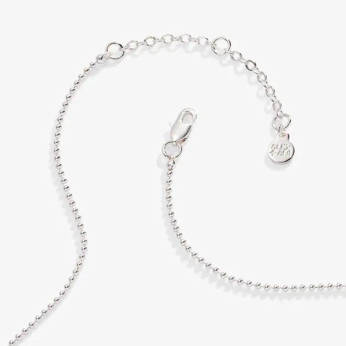 Necklaces Women Alex And Ani Capricorn Zodiac DoubleSided Charm Necklace Silver