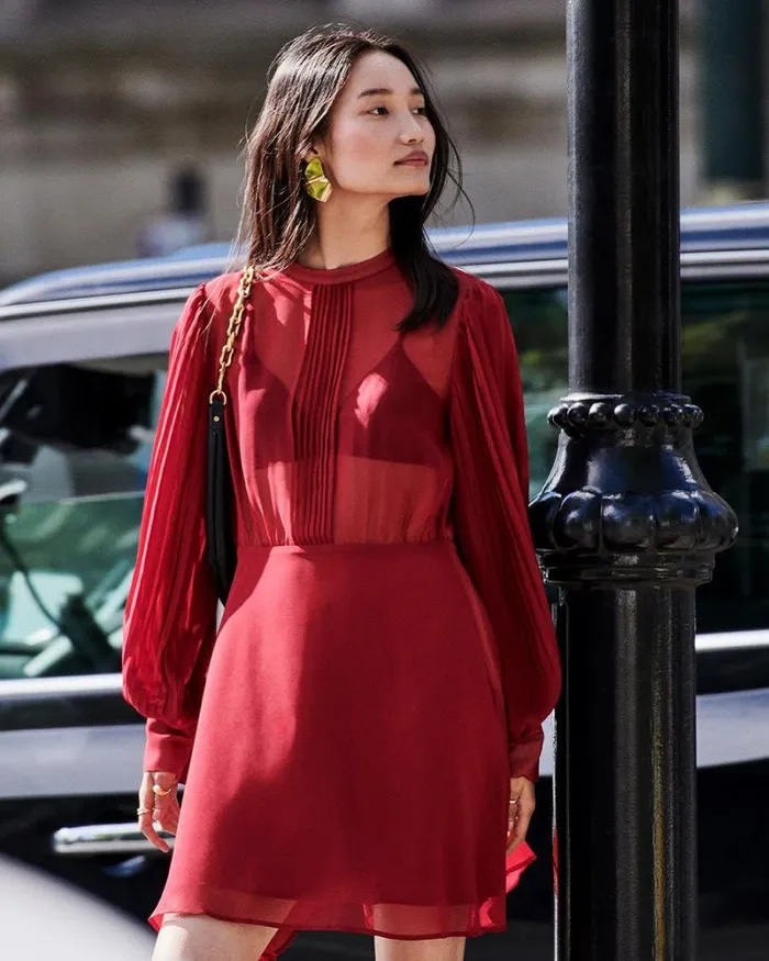 RWandCO Dresses LongPuffySleeve CrewNeck Chiffon Dress Merlot 8211 Women