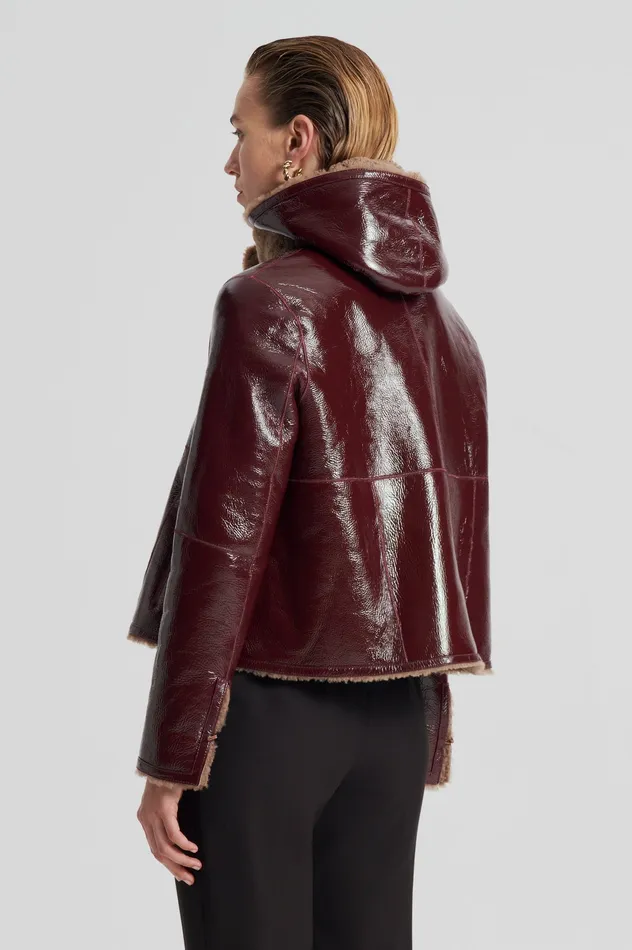 Scanlan Theodore Leather Women SHEARLING JACKET RASBRRYCAMEL Scanlan Theodore Leather Women SHEARLING JACKET RASBRRYCAMEL