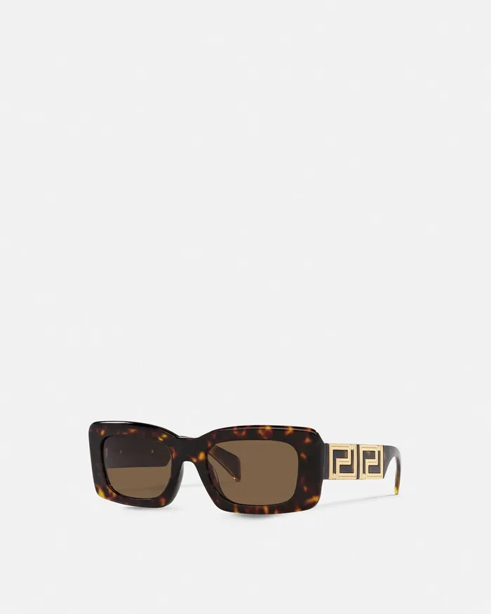 Sunglasses Women Versace Endless Greca Sunglasses Havana