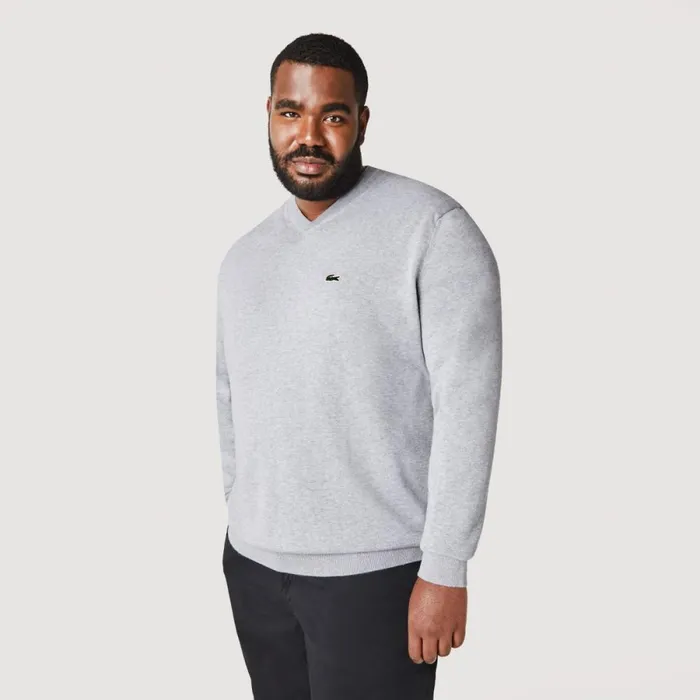 Sweaters and Sweatshirts Men Lacoste Men039s VNeck Organic Cotton Sweater Grey Chine Cca