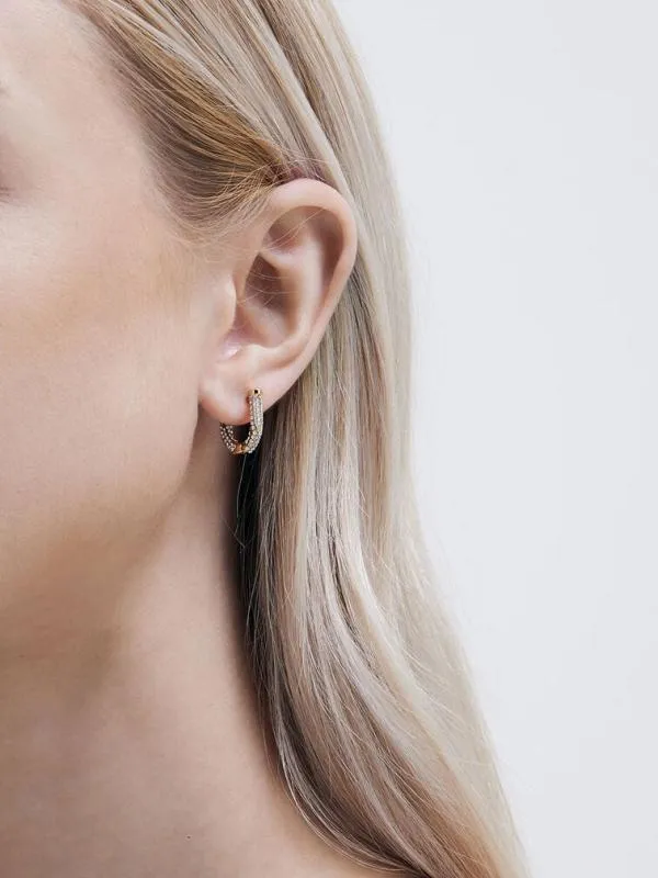 Women Gabine Swarovski Crystal Huggie Earrings 8211 Gold CHARLES and KEITH Earrings Women Gabine Swarovski Crystal Huggie Earrings 8211 Gold CHARLES and KEITH Earrings